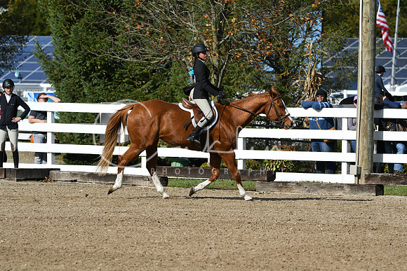 HSM_2092
