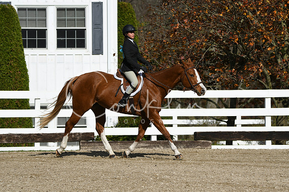 HSM_2094