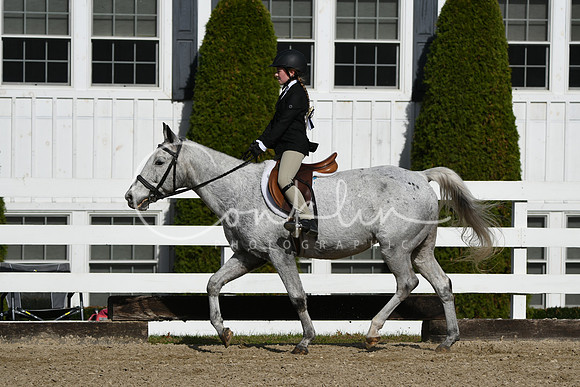 HSM_2111