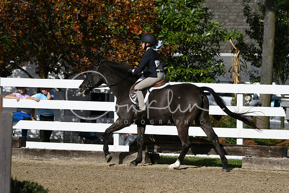 HSM_2117
