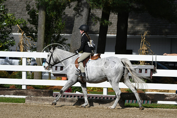 HSM_2118