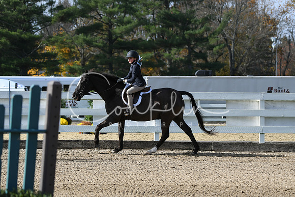 HSM_2119