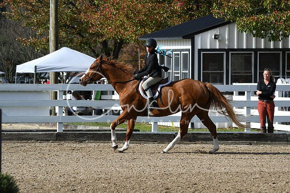 HSM_2121