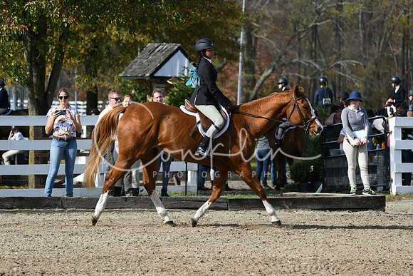 HSM_2129