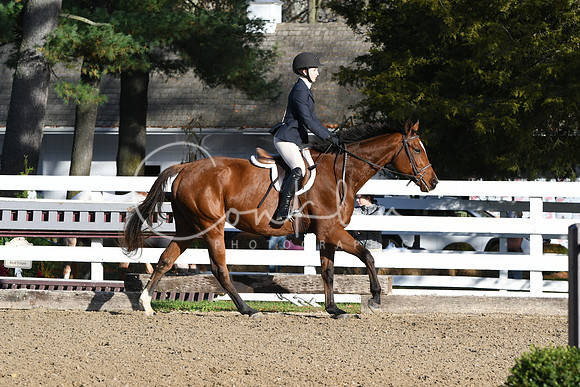 HSM_1324