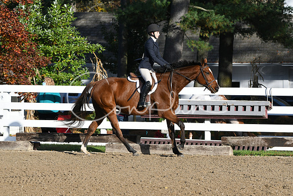 HSM_1323