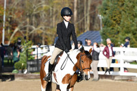 HSM_1268