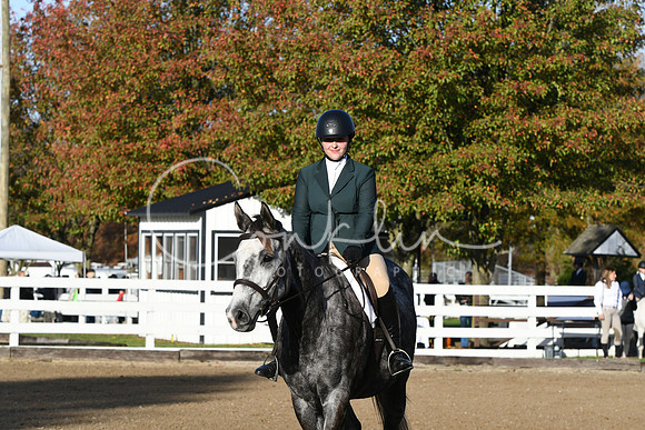 HSM_1267