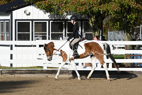 HSM_1271