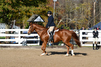 HSM_1272