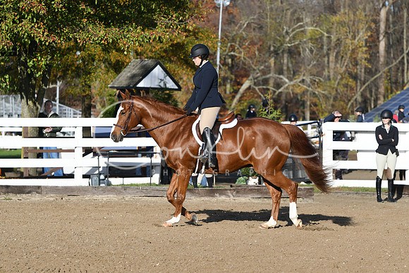 HSM_1272