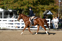 HSM_1273