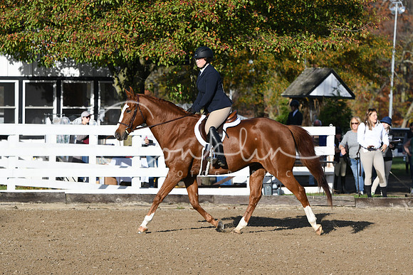 HSM_1273