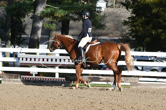 HSM_1275