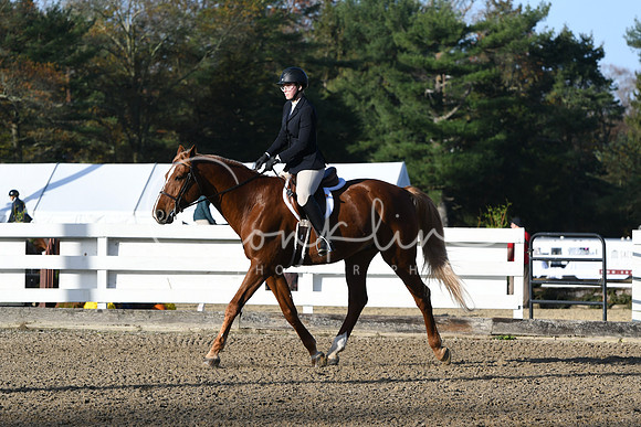 HSM_1278