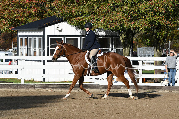 HSM_1286