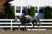 HSM_1290