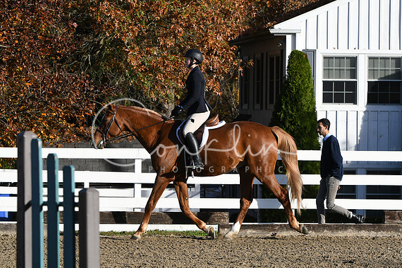 HSM_1292