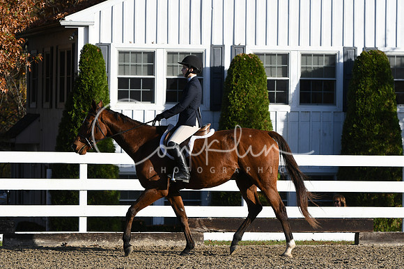 HSM_1294