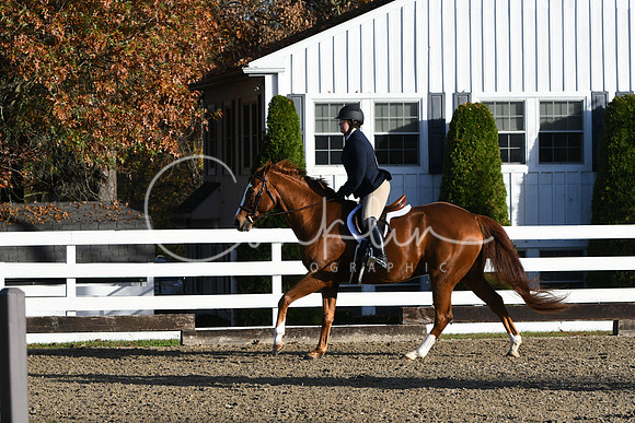HSM_1296
