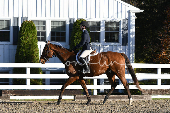 HSM_1293