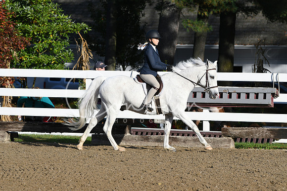 HSM_1319