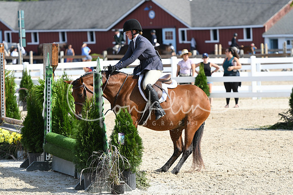 HSM_5950