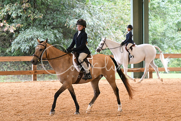 HSM_5328