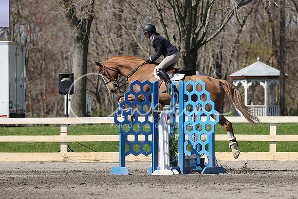 1DX33287