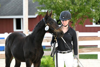 HSM_6341