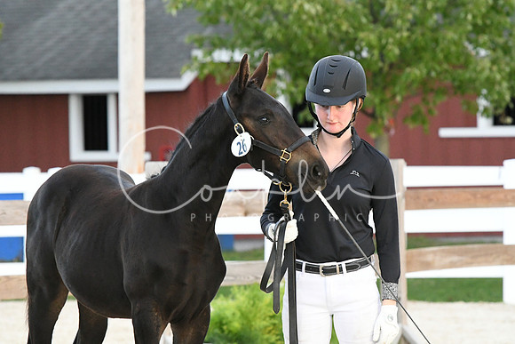 HSM_6341