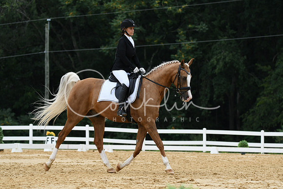 HSM_0243