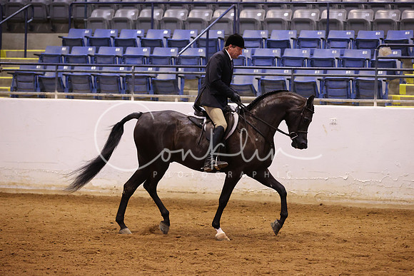 RJC34044