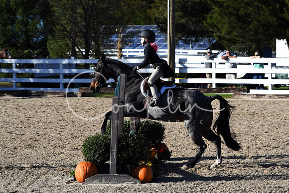 HSM_2916-1