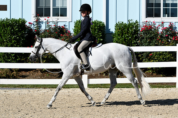 HSM_2295-1