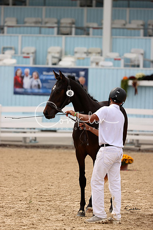 RJC30987-1