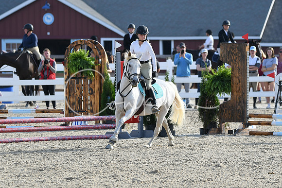HSM_1295