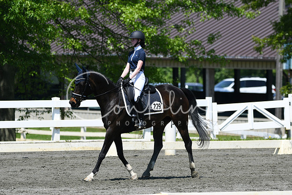 HSM_1439