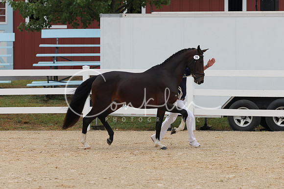 HLK_3589