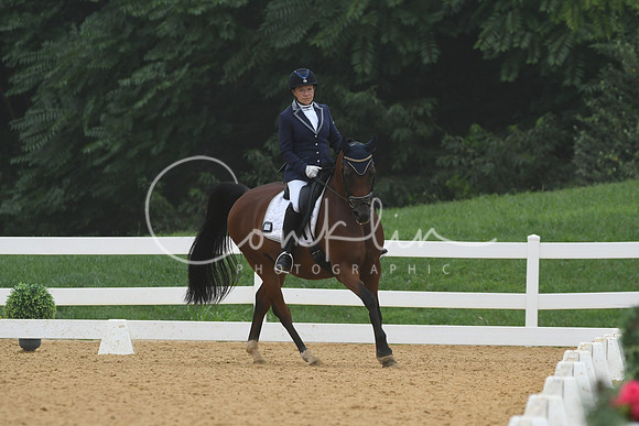 HSM_0966