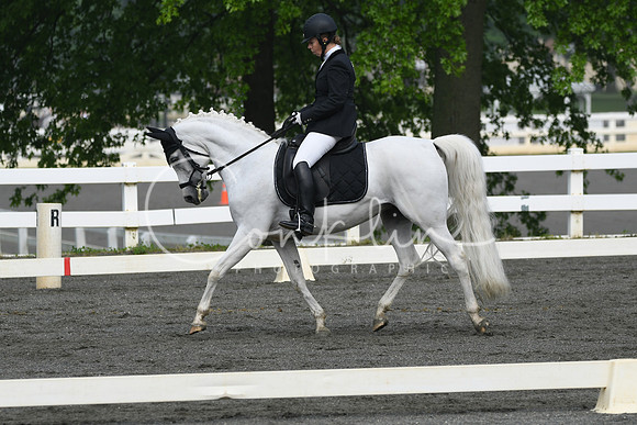 HSM_0951