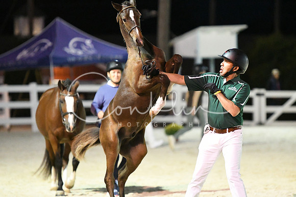 HSM_5846