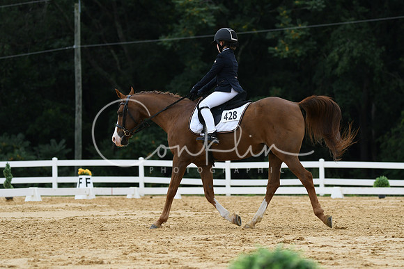 HSM_0223