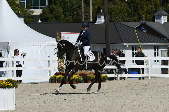 HSM_4808