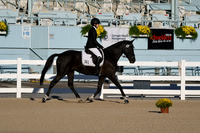 HSM_4217