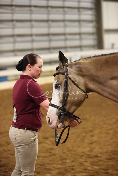 RJC32078