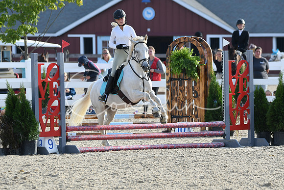HSM_1296