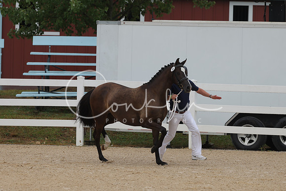 HLK_3261