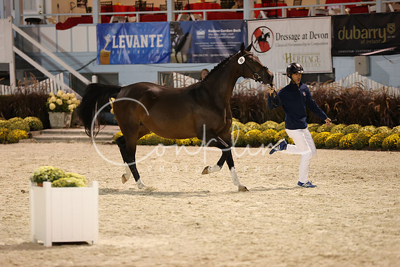 RJC33464