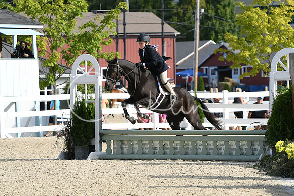 HSM_5874
